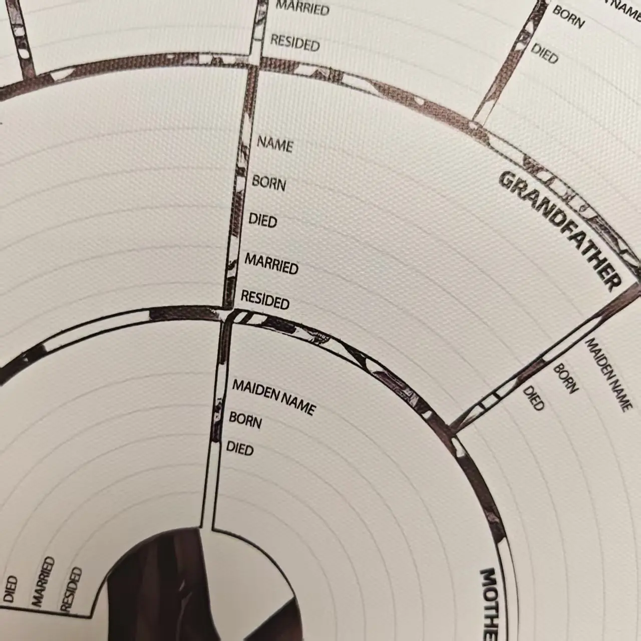 1 Stück Genealogie-Vordiagramm – Photography History Bewertung und Preis