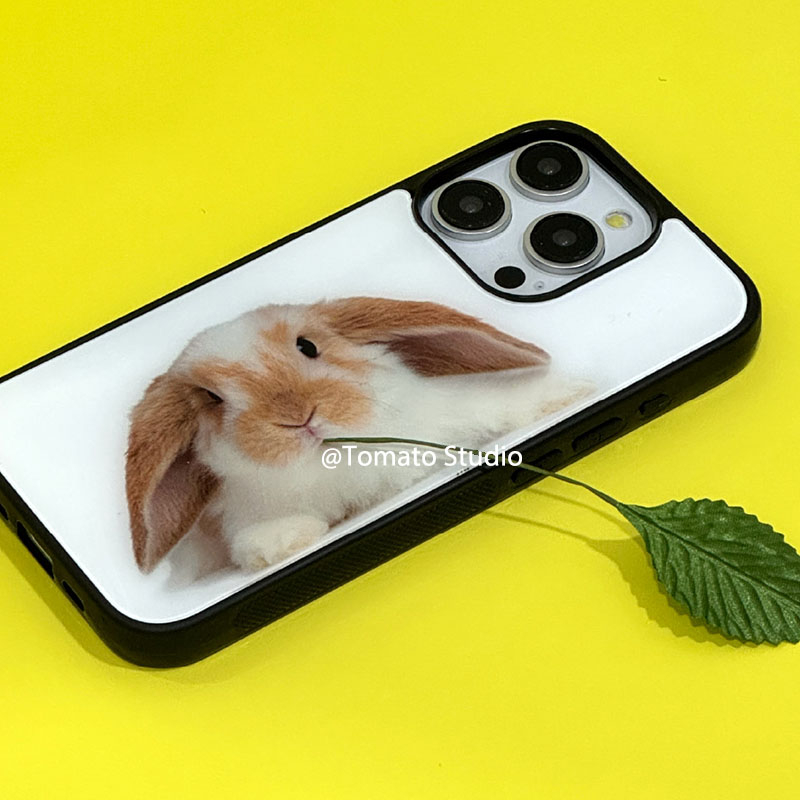 Nischen-Tierfotografie Y2K Han – Photography With Iphone 15 Bewertung und Preis